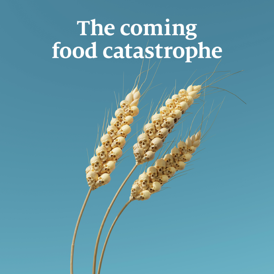 Fransz_Finds_6_The_Food_Catastrophe_Marketing_Report